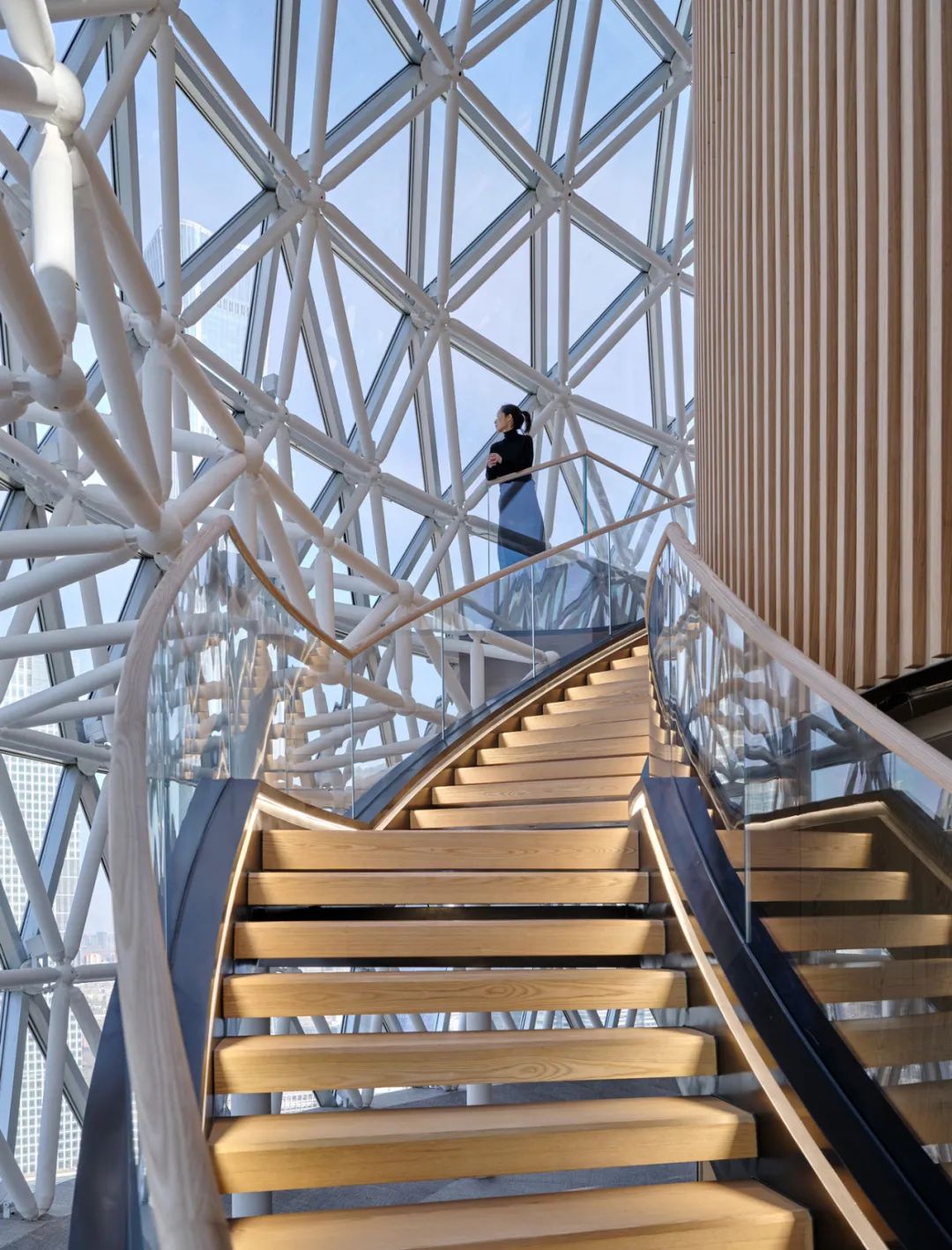 新任命 | 伍兹贝格公布新晋高级理事及理事