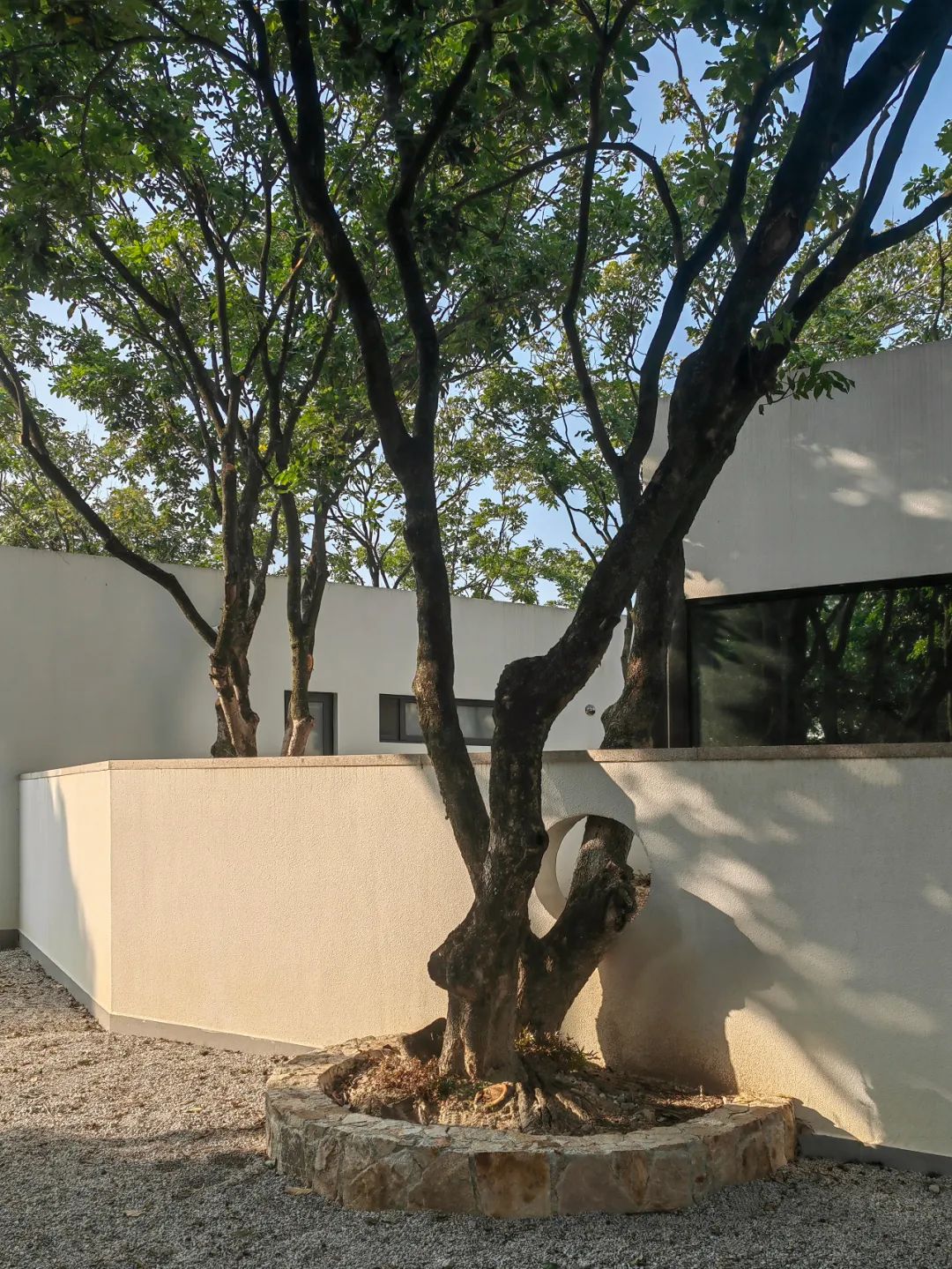 钟文凯：共享空间的寓言，是一系列我对城市的构想