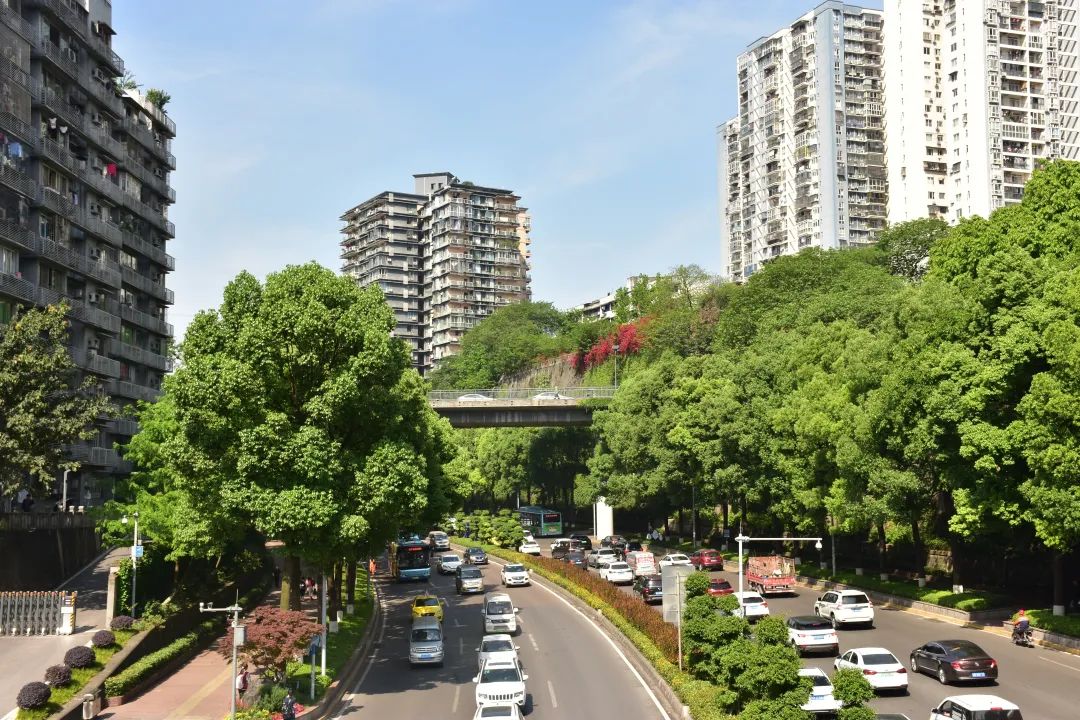 大院建筑师：老工业城区的理性与浪漫