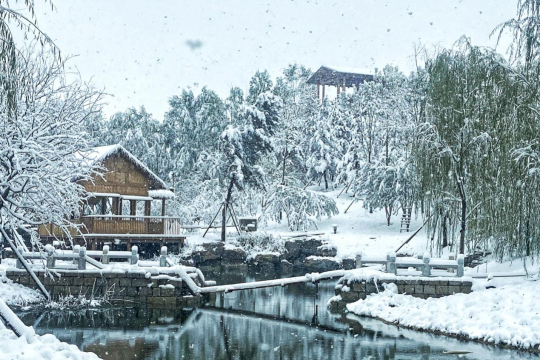 LA访谈 | 做最适合的设计&mdash;&mdash;北林地景孔宪琨副院长专访