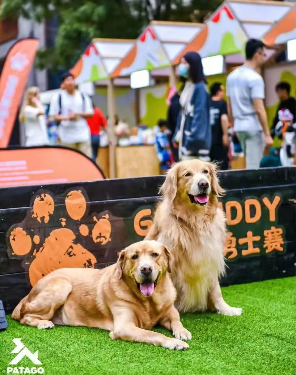 宠物友好商场：“它经济”下，城市商业生态的多样化探索