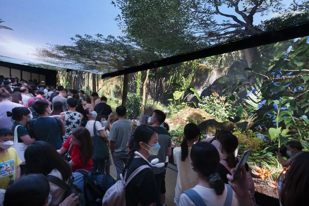 香港漫游指南 | 一场阔别已久的文艺之旅