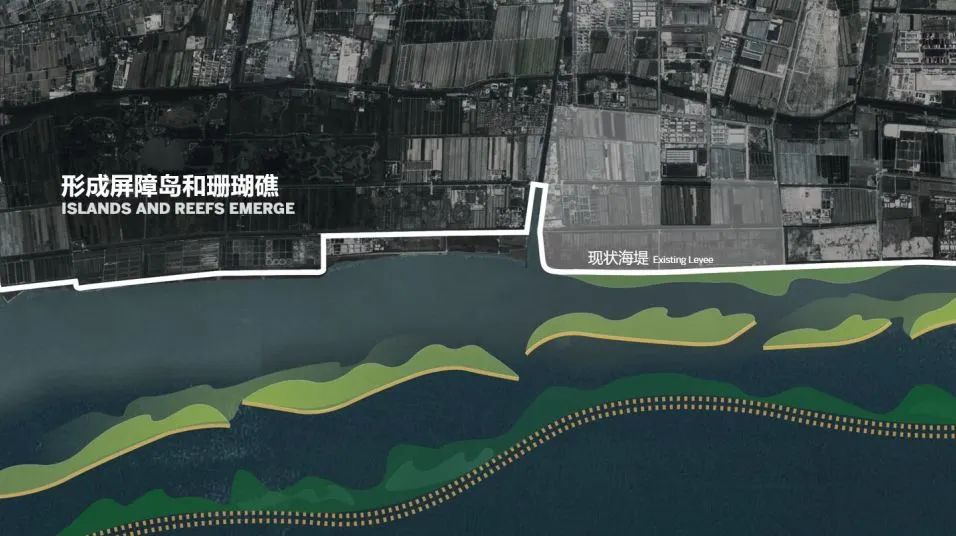 SOM 开放空间设计系列(二):何时?巨变下的多尺度开放空间实践探索