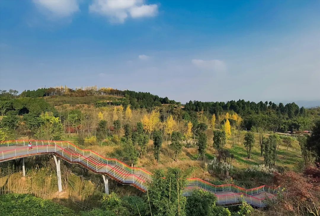 LA专集 | 万木葱翠,十里森境——森林公园规划设计探索