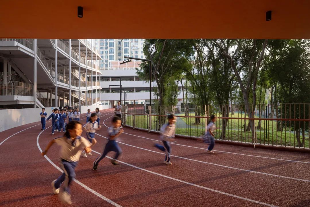 董功 | 直向的树