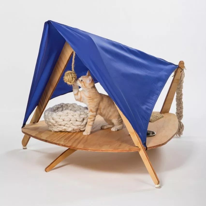 予舍予筑,建筑师,国际事务所,猫咪