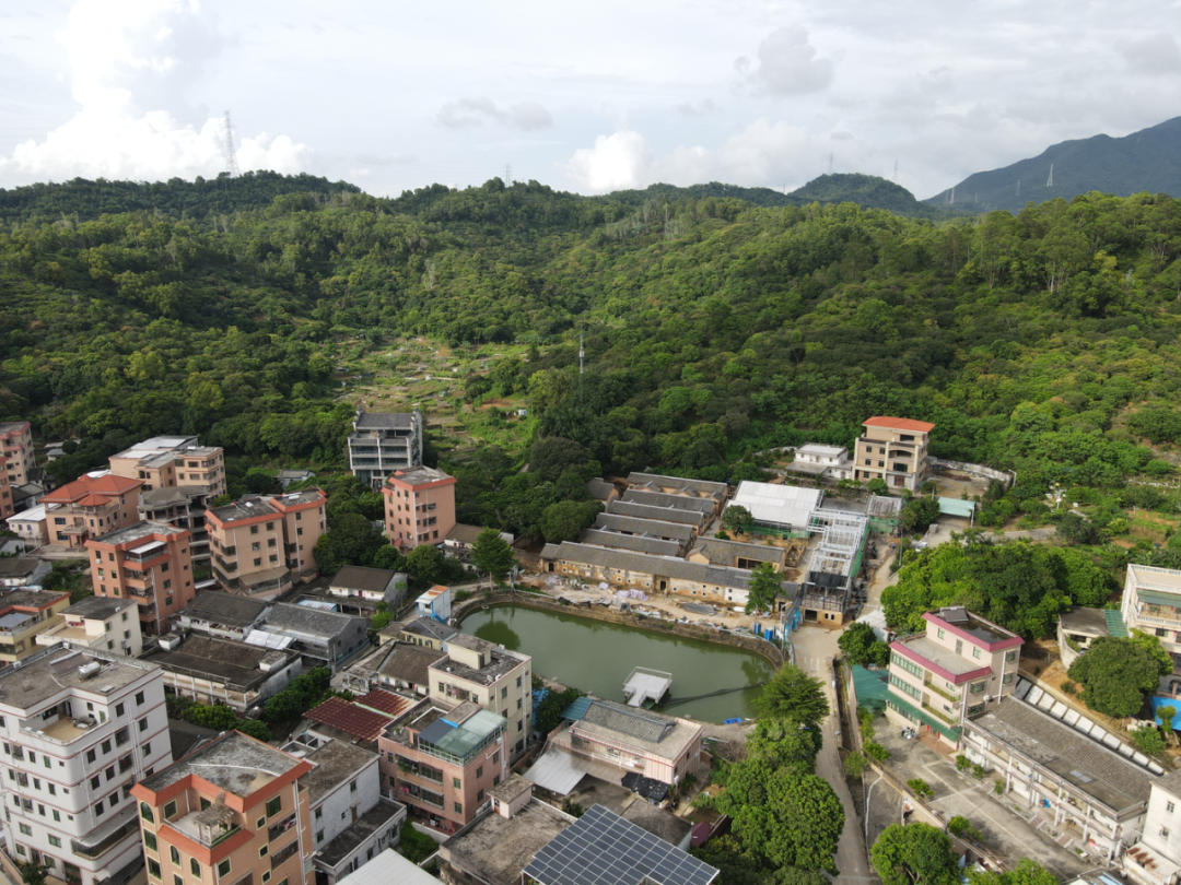朱小地：在对岸，反观自我