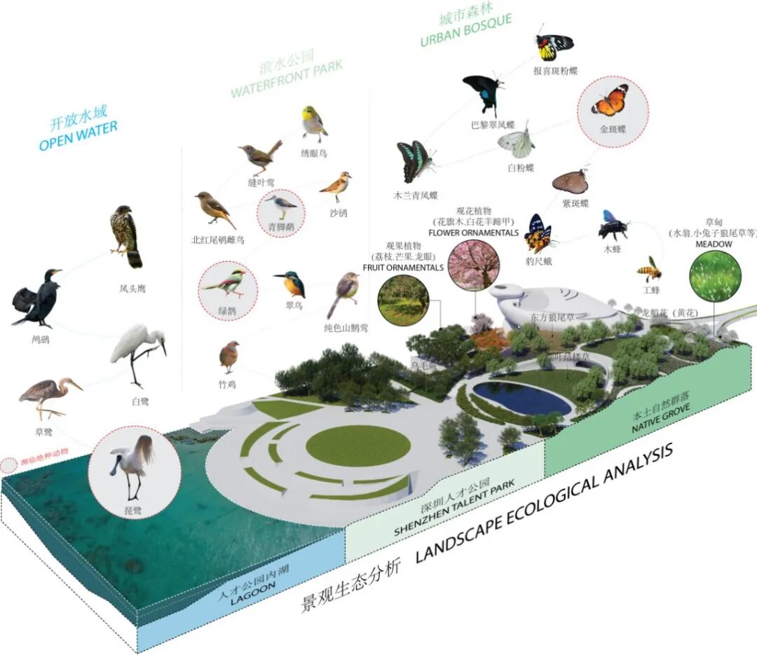 湾区新场地即将呈现丨马岩松MAD深圳湾文化广场