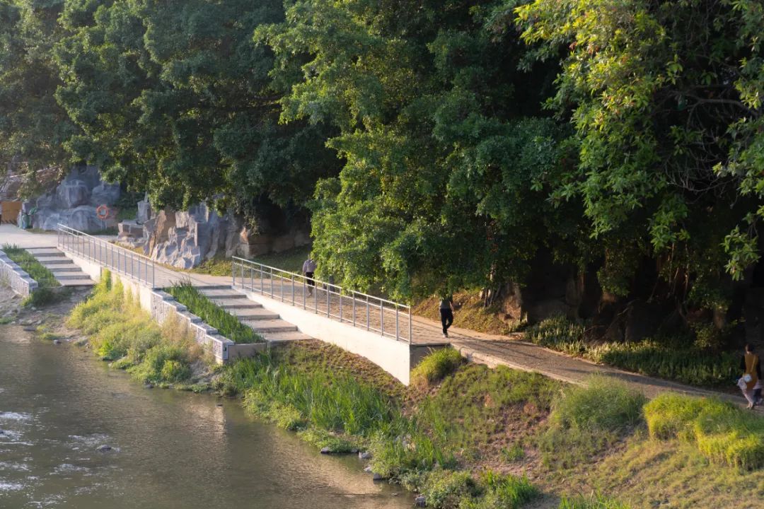 龙园焕活，城水共兴 - 龙岗河干流碧道示范段 龙园水岸 | LA理事风采