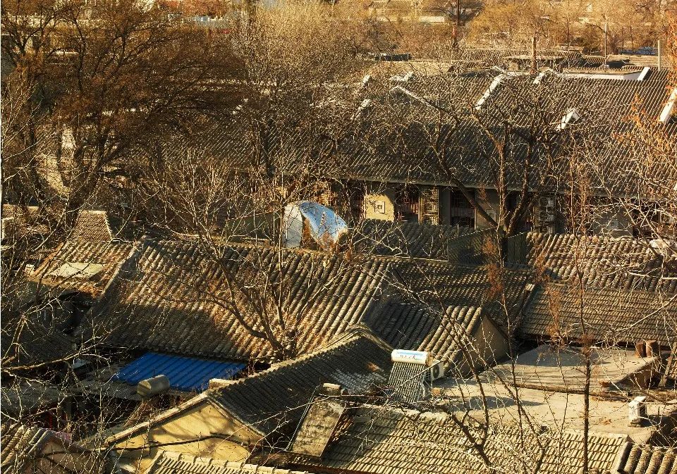 马岩松:当狂想照进现实,我们的城市怎么才更有爱?