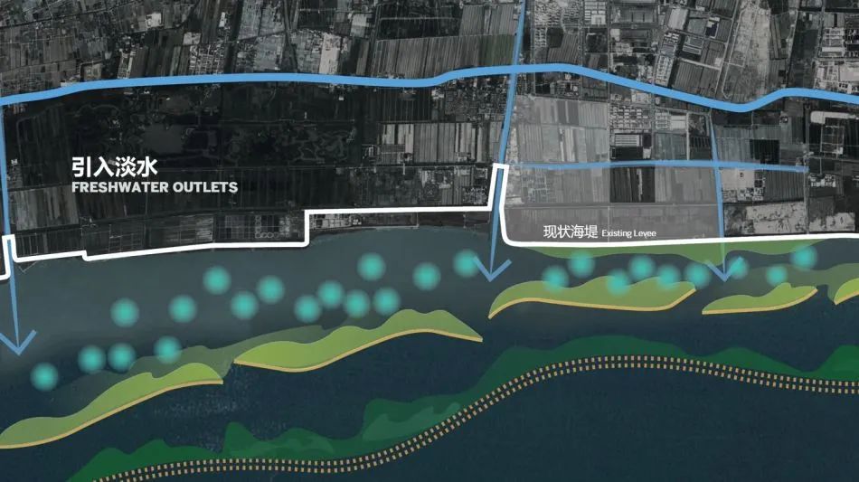 SOM 开放空间设计系列(二):何时?巨变下的多尺度开放空间实践探索