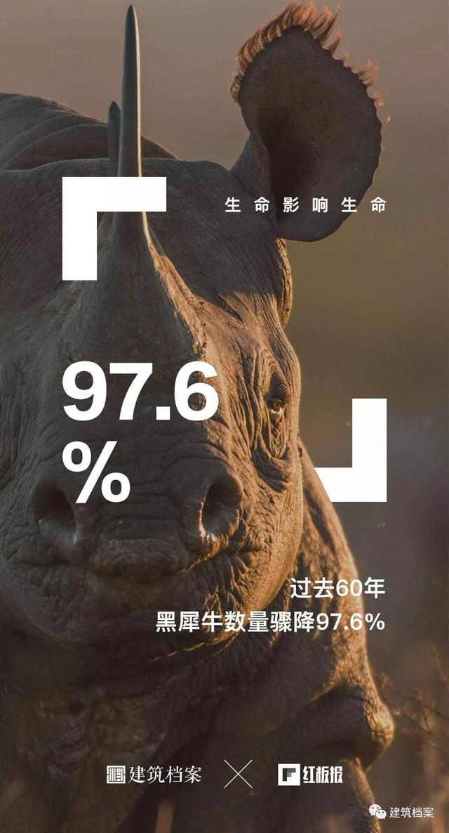 自然生命，红板报，建筑师