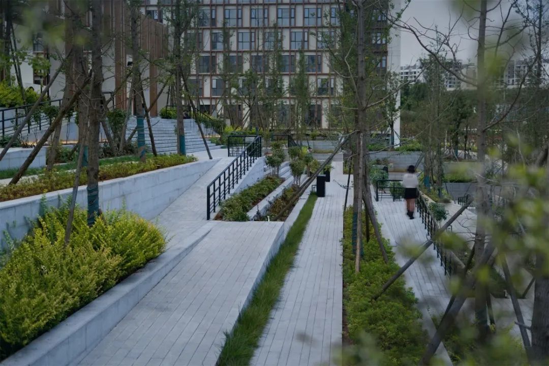 LA专集 | 绿意回春，景愈身心——打造健康人居环境