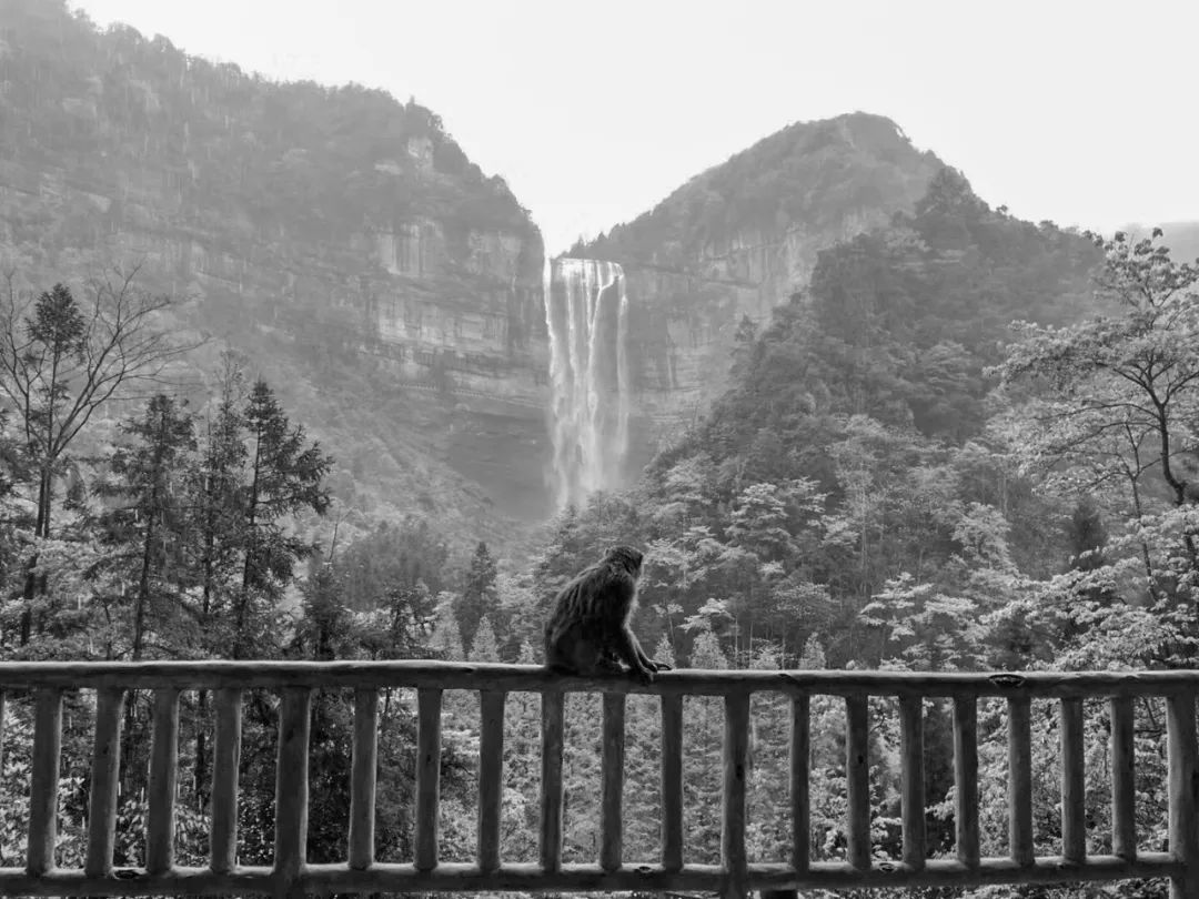 【CROX闊合 云山艺术馆】