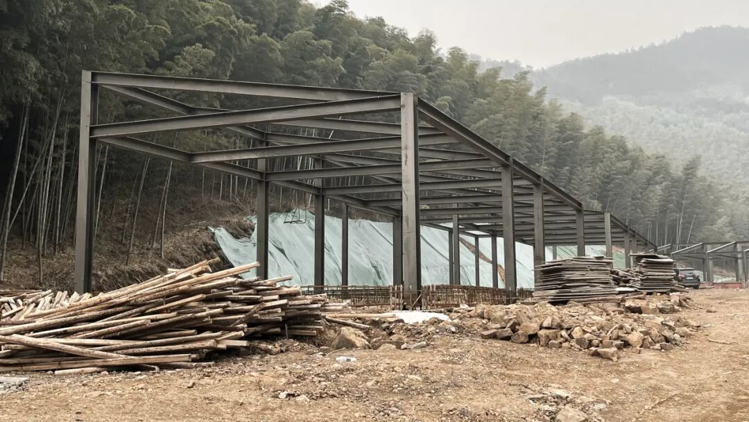 goa作品 | 大地艺术剧场，为飞鸟和人建造