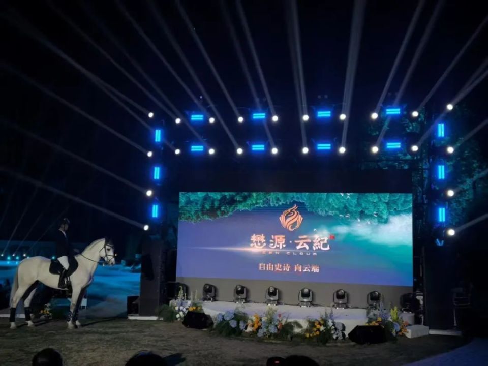 懋源云纪，陆挺宇派来了女主任