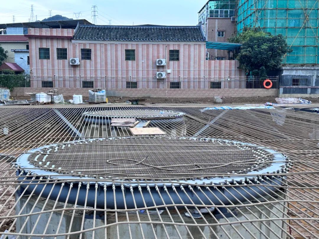 朱小地：在对岸，反观自我