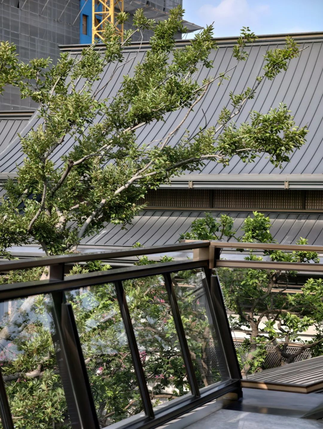 千年风雅，宋代审美为何历久弥新 | 上海保利&建发·印象青城【致逸现场】