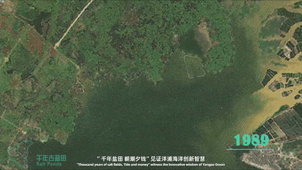 城市与场所 | 红树清风，探索洋浦海城共融