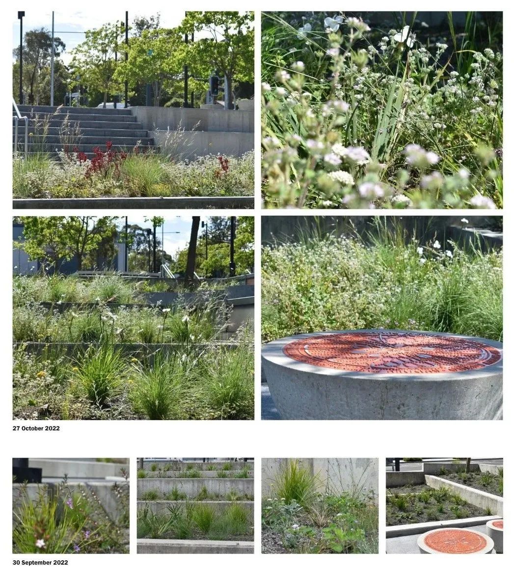 活动预告：上海国际设计节上海景观论坛 —“福祉” | Shanghai Landscape Forum - Wellness