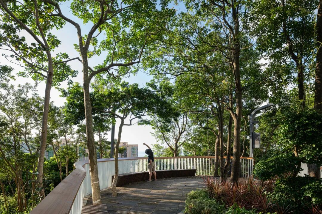 曹睿芝:大题小做