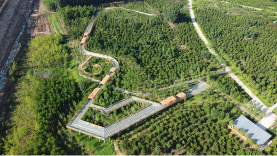 LA理事风采 | 从“纸上”落到“地上”，北林地景助力雄安蝶变