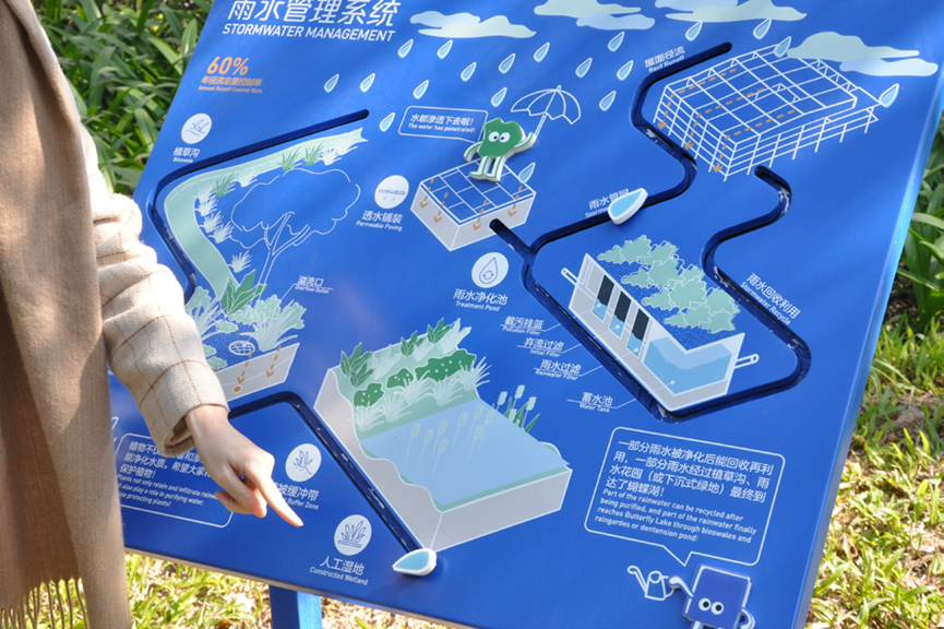 曹睿芝:大题小做