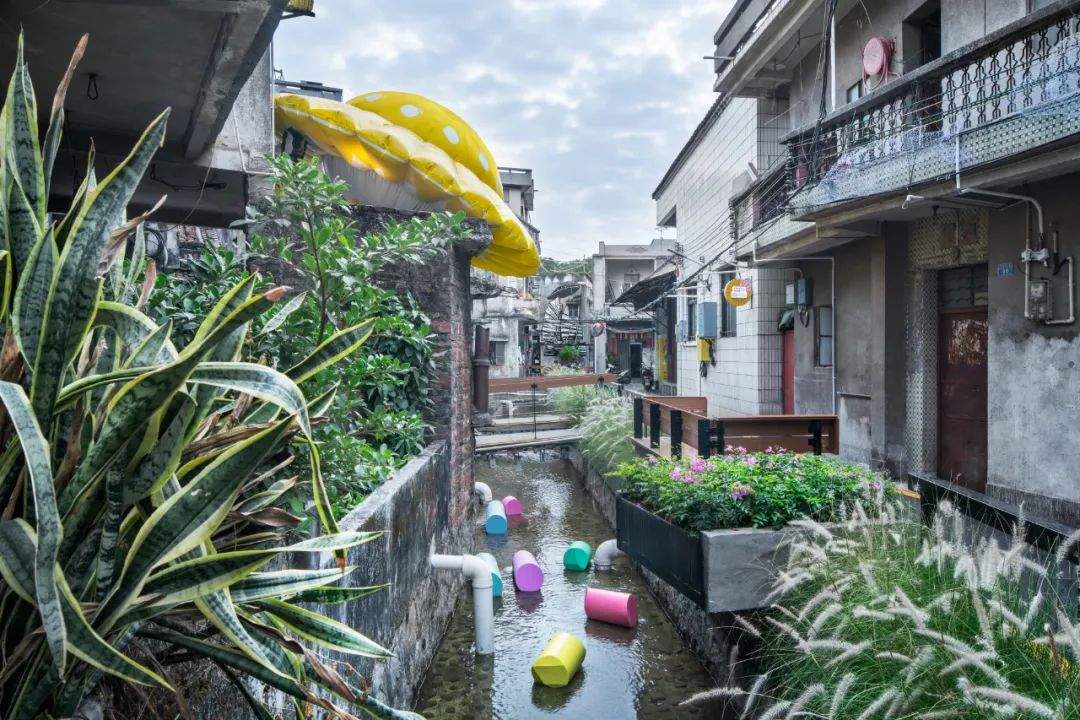 韩晶：尊重&ldquo;野生智慧&rdquo;，向城中村学习