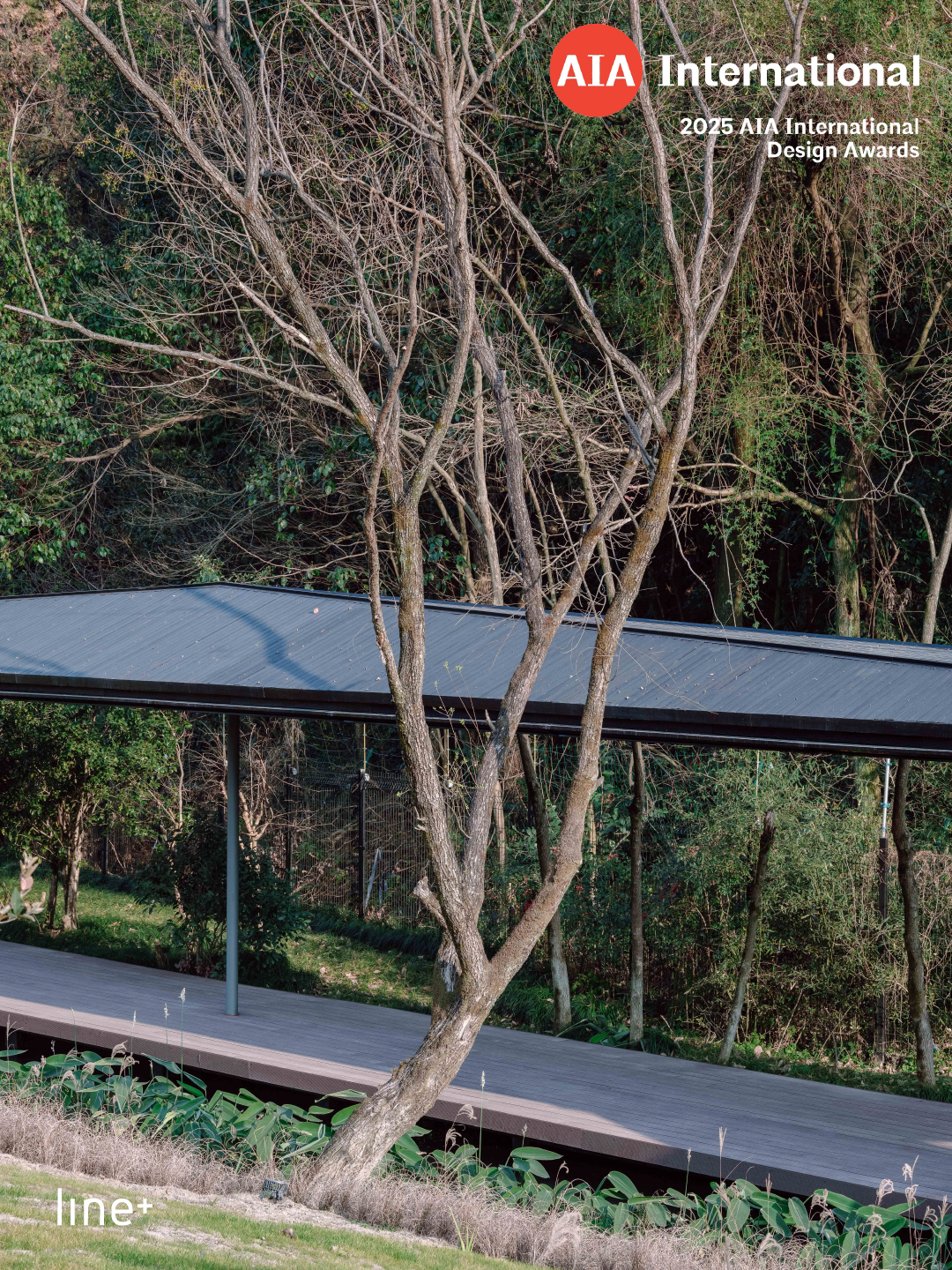line+「溪上飞檐」荣获AIA国际设计奖 