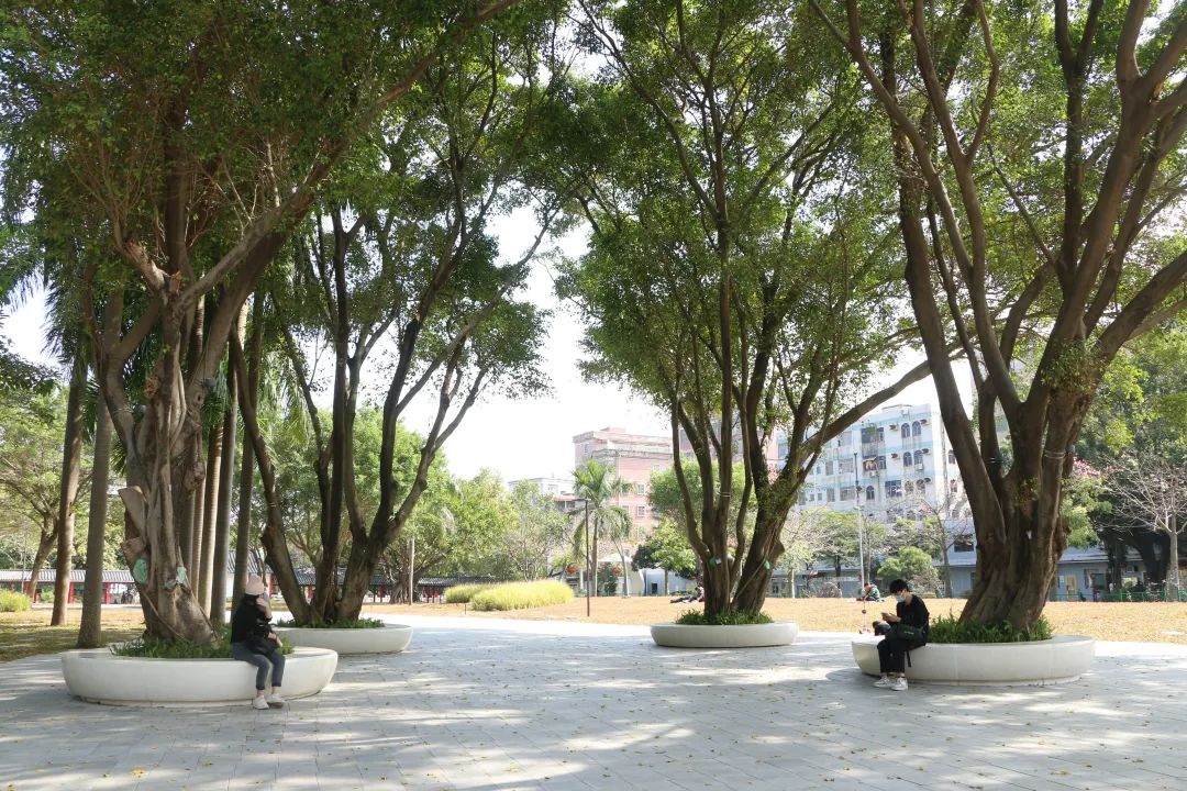 龙园焕活，城水共兴 - 龙岗河干流碧道示范段 龙园水岸 | LA理事风采