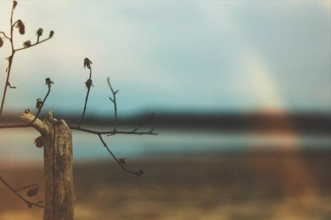 现代主义，民族形式，数字建筑，建筑空间