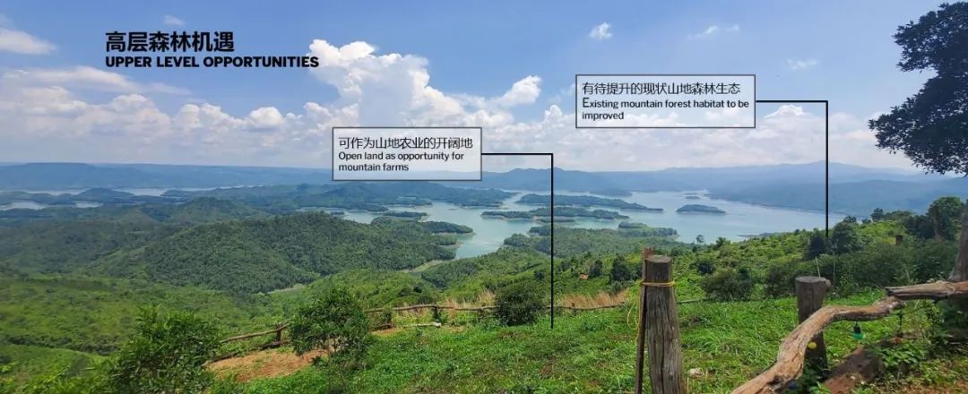 SOM 开放空间设计系列(二):何时?巨变下的多尺度开放空间实践探索