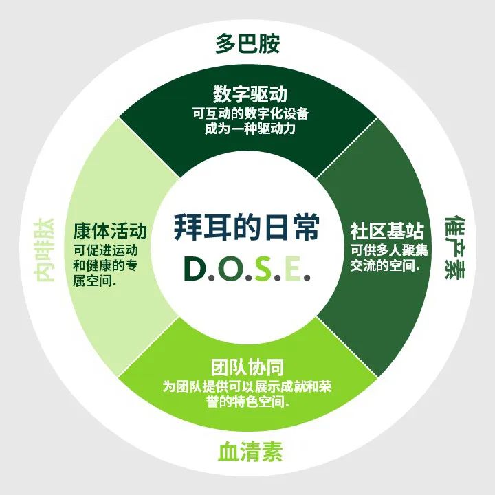 全新拜耳北京办公室的设计旨在给员工带来快乐和积极的影响