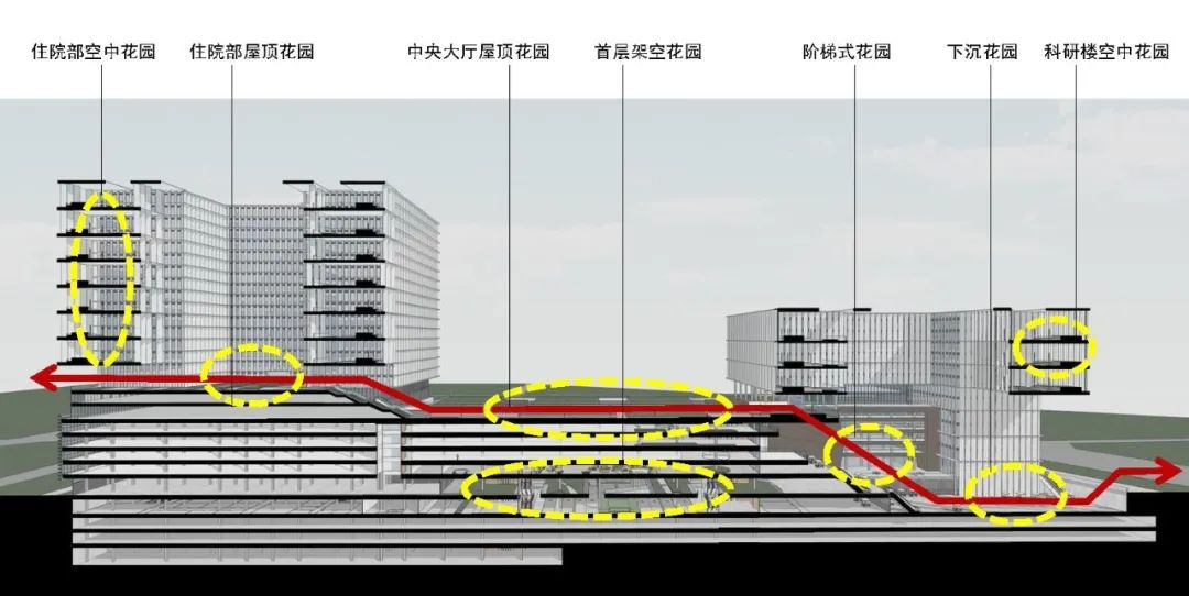 深圳市新华医院：一座花园式的疗愈医院