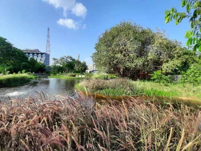 LA专集 | 万木葱翠,十里森境——森林公园规划设计探索