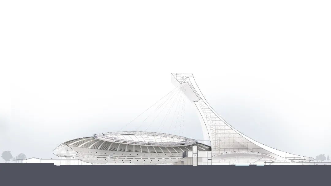 体育场设计屋顶结构