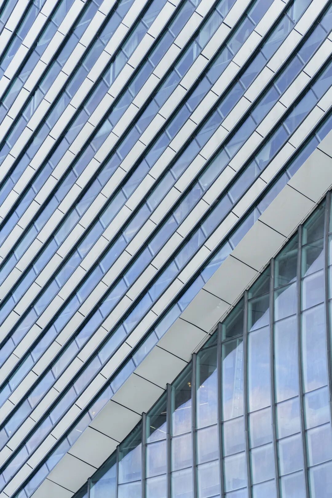 line+打造新昌小球中心:Sports Mall,从赛事容器到城事发生器