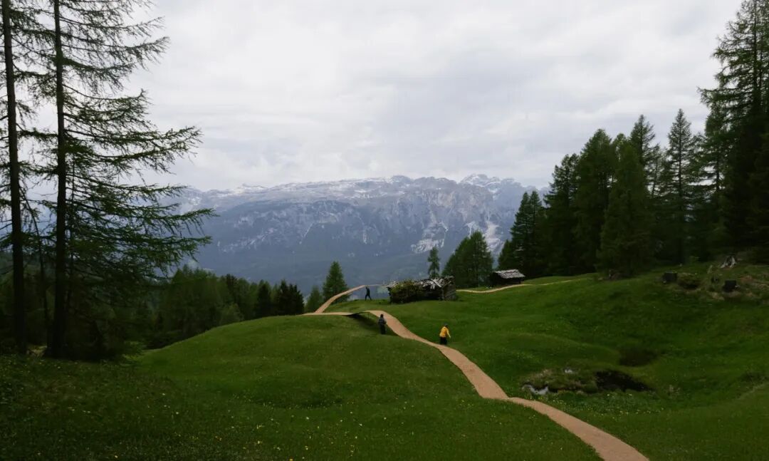 马岩松主编的domus 二月刊，感知自然