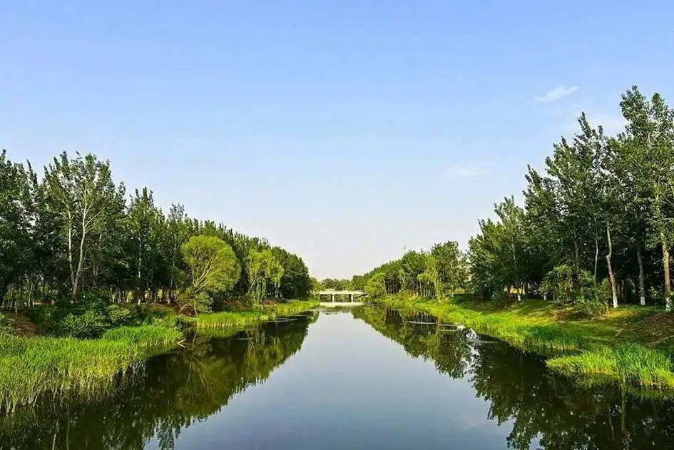 LA专集 | 万木葱翠,十里森境——森林公园规划设计探索