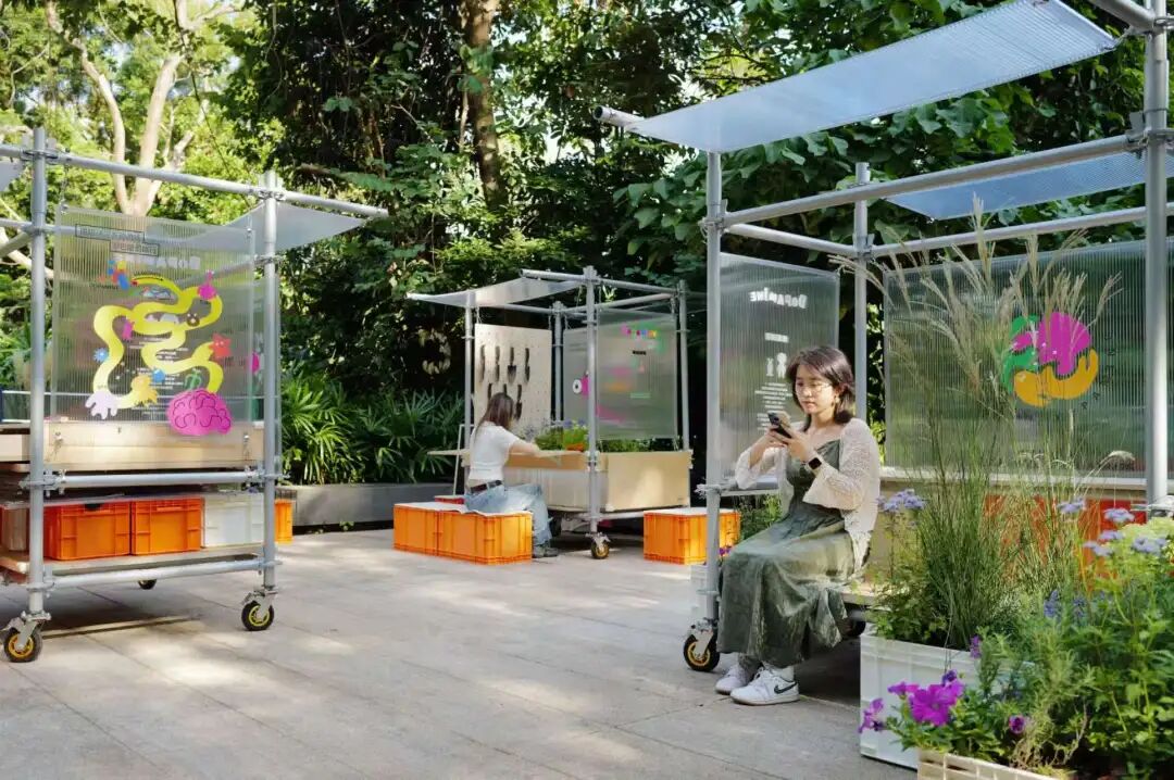 11.29马路上开派对，只在蛇口发生