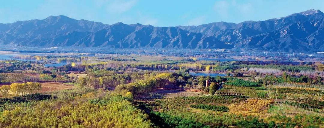 LA专集 | 万木葱翠,十里森境——森林公园规划设计探索