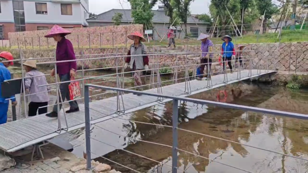 【建言丨对话张准】共生结构，探索全新生态位