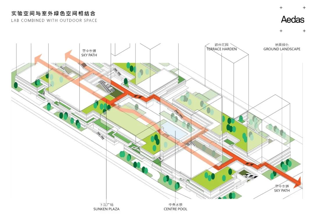 Aedas新作 | 横琴科学城三期，科学半岛的城市绿洲，生物医药产业的工作生活共同体