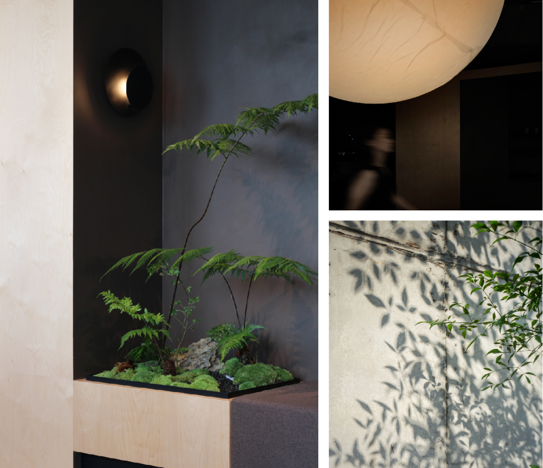 【建言丨对话Adam Robarts】希望、爱与美，让我们勇敢面对未知