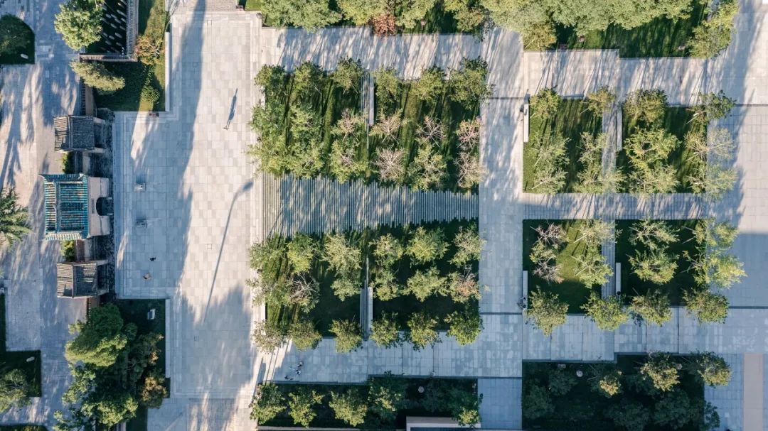 建筑与城市共兴：马清运、马岩松、gmp、AECOM，一笔一画，写意城市