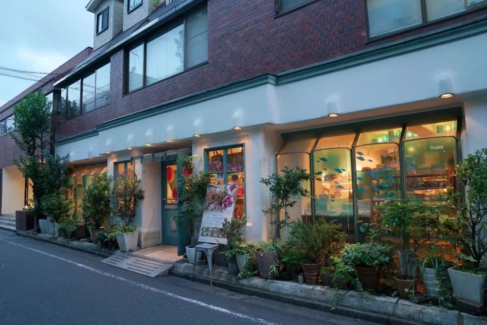 今年7月，我们日本见！
