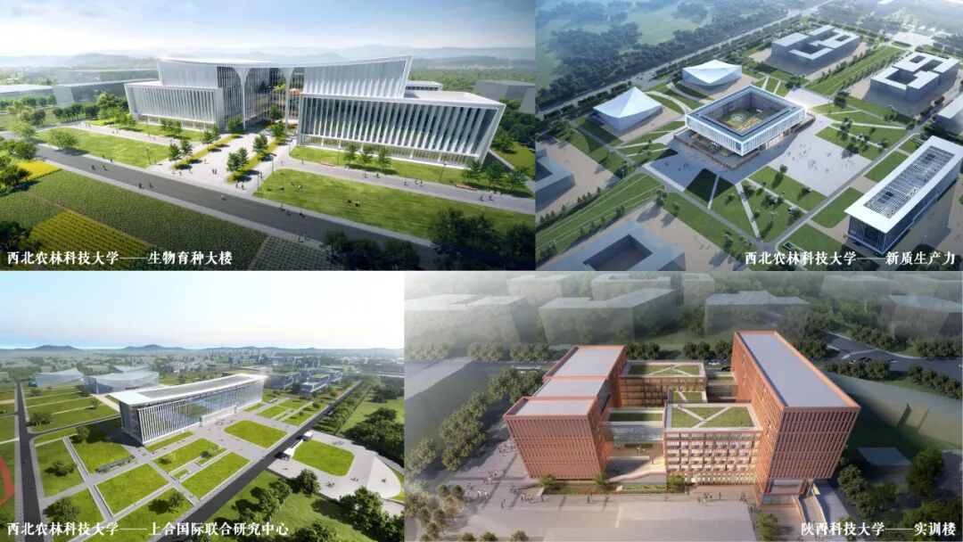 听见未来建筑的声音 | 张彬：不负信任，认真设计