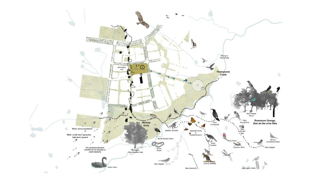 悉尼布拉德菲尔德（Bradfield）中央公园