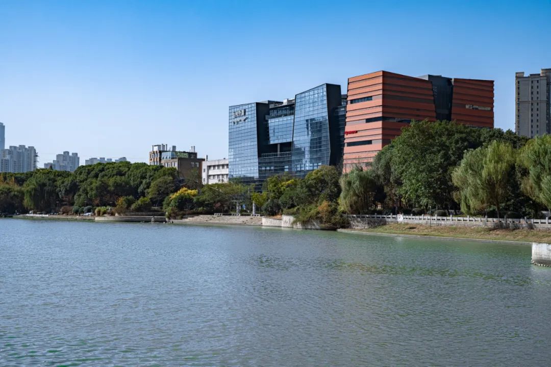 “team+加合建筑”的17年创业故事