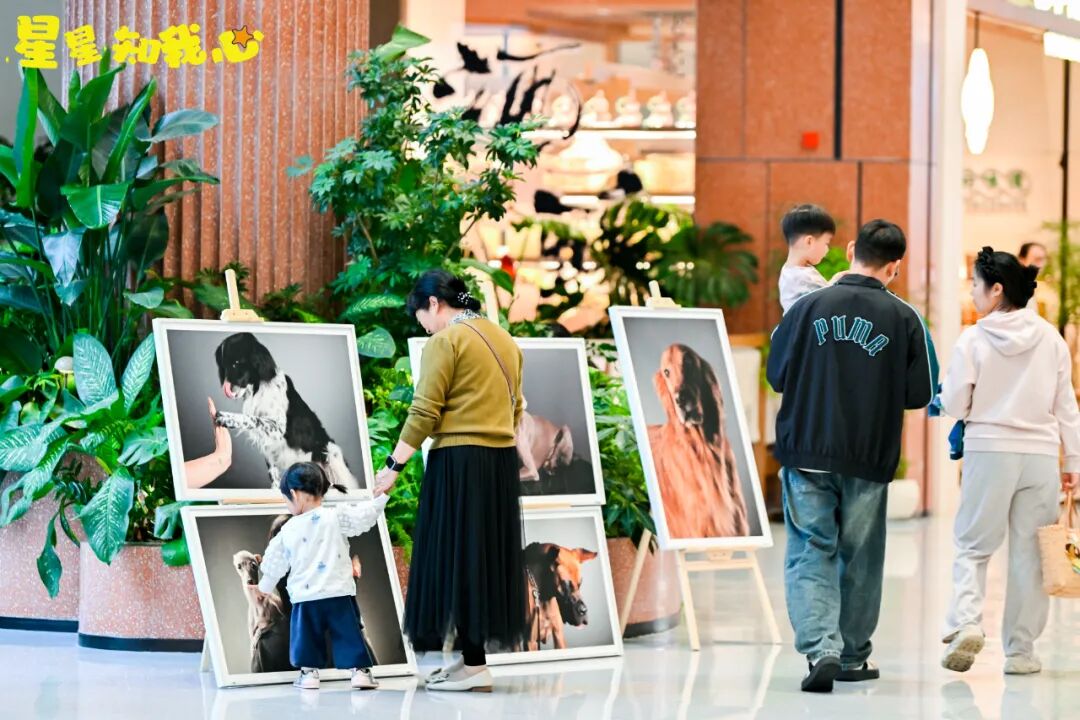 仰望星空，设计向善 | &ldquo;星星知我心&rdquo;慈善活动在南京玄武招商花园城圆满落幕